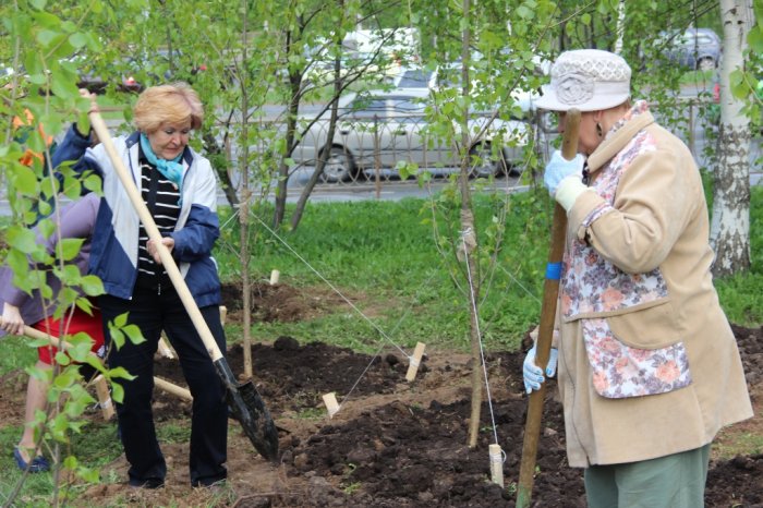 Посадка деревьев совместно с Региональным Отделением «Союз пенсионеров России» по РТ, 13 мая 2015