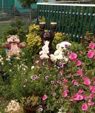 Конкурс по цветоводству продолжается