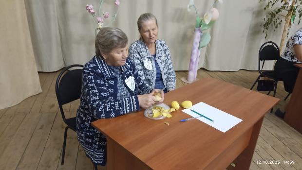 «А ну-ка, бабушки»