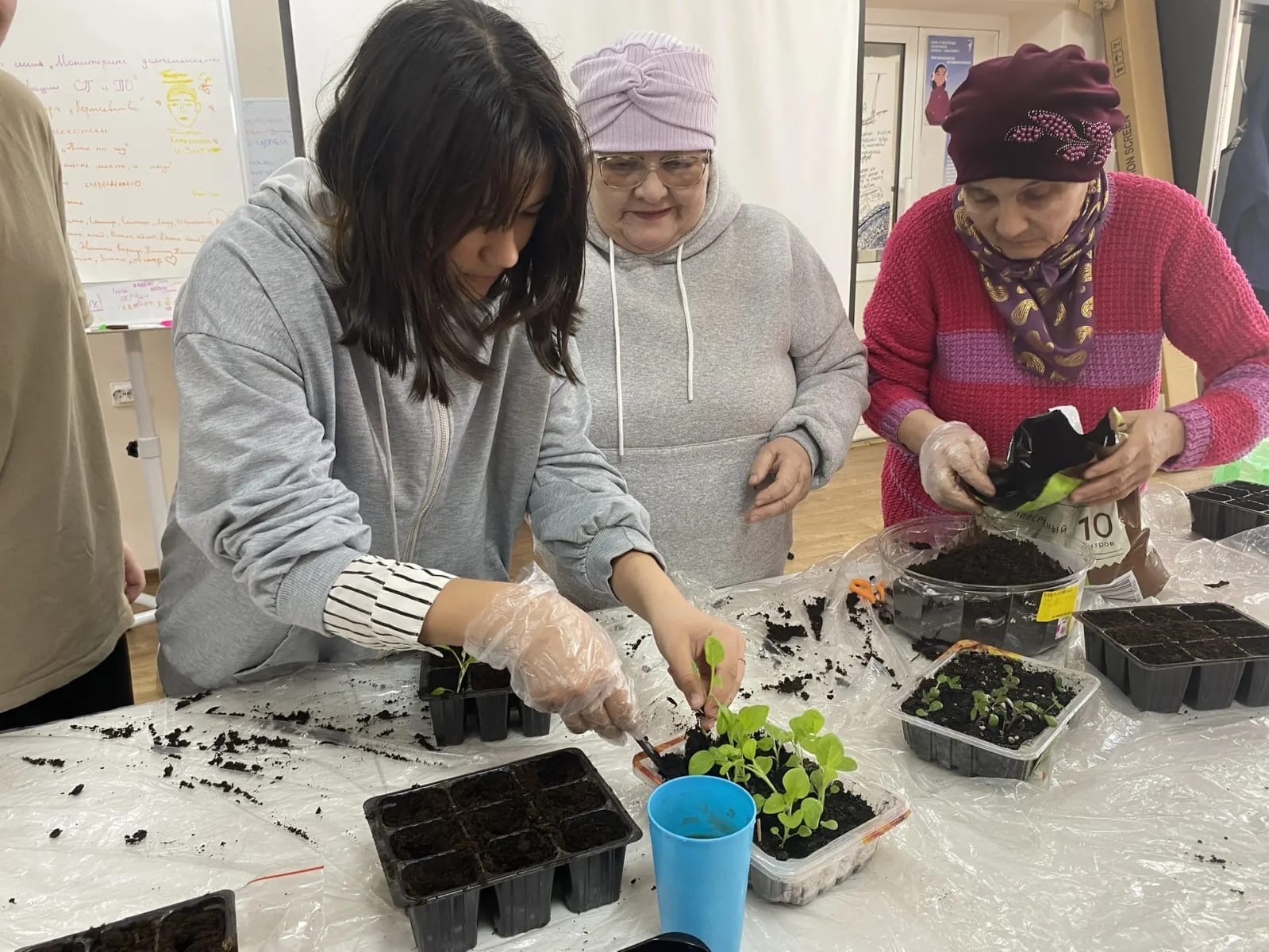 Мастер-класс по цветоводству