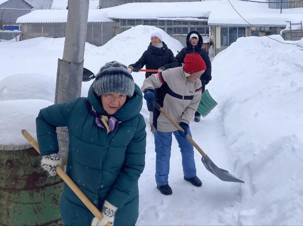 Снежный десант