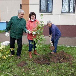 Зеленая волна Зеленая волна