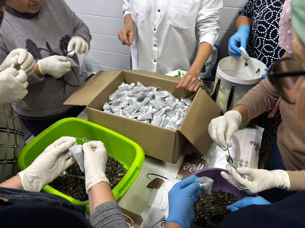 Изготовление сухого чая для УСВО