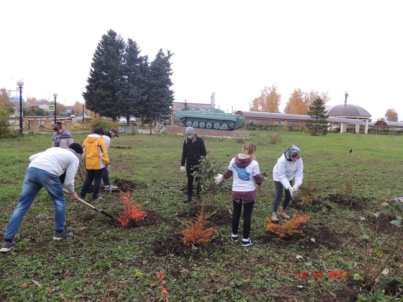 Посадка леса