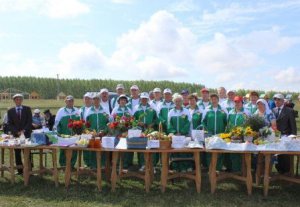 День физкультурника прошёл в Дрожжановском районе