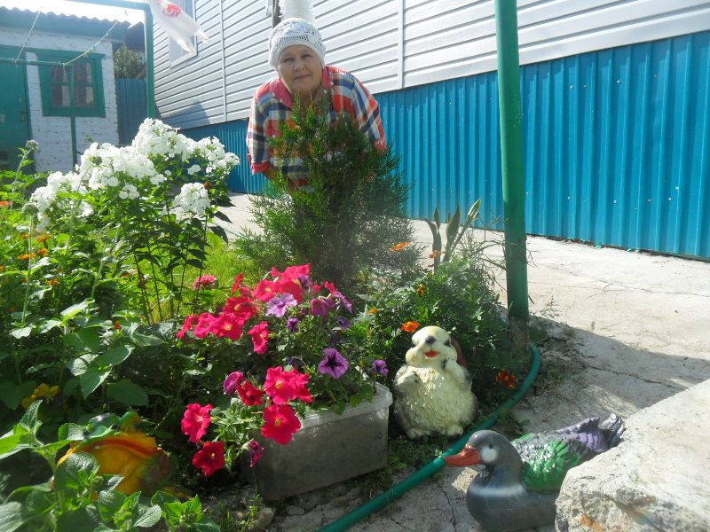 Конкурс в Камско-Устьинском районе