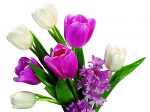 Благодарность