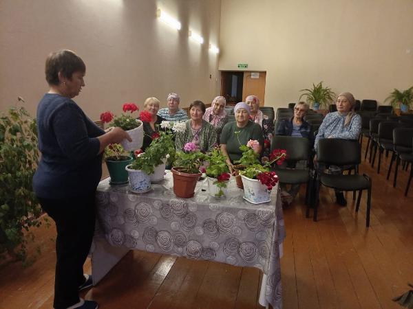 «Как вырастить герань на своем участке»