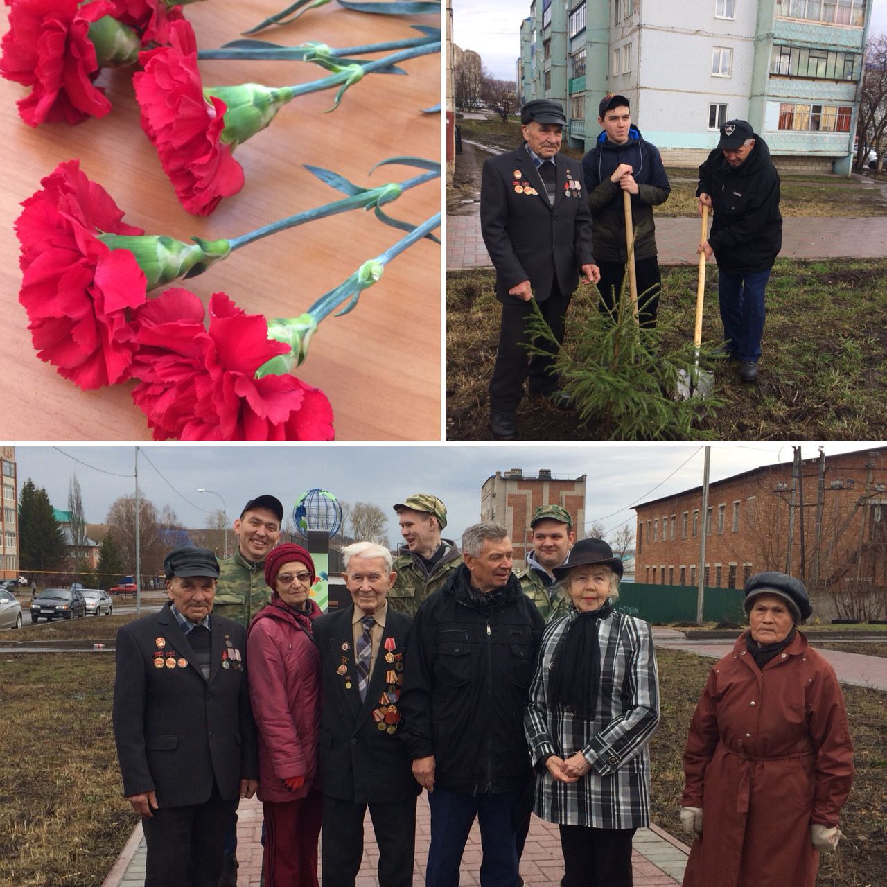 Посадка деревьев