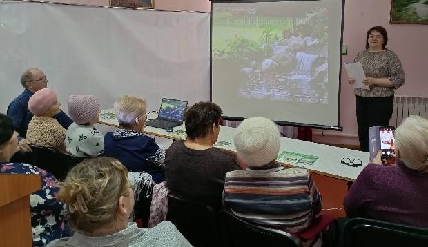 Дизайн участка