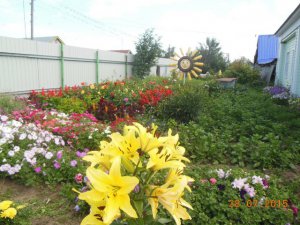 Стартовал конкурс