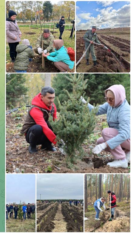 День посадки леса